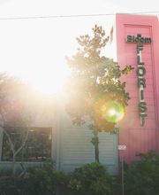 In Bloom Florist image 3