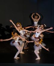 Ballett Tanz in Essen - Tanz im Hof Pavlina Cerna | Tanzschule in Essen