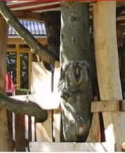 Verwaltungsgemeinschaft Bild 1