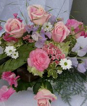 Götschi Hanspeter Bild 8