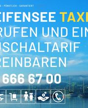 Greifensee Taxi Bild 1