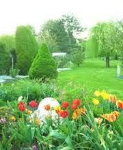 Jardine Pierre Geeraerts image 3