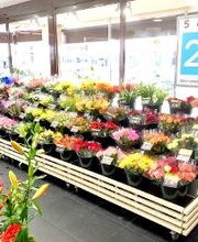 Carrément Fleurs - Fleuriste Sainte-Eulalie Bordeaux 33 - Livraison de fleurs à domicile image 7