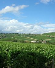 La Barbotaine Champault Frédéric image 1