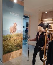 Icebreaker - Orefici11 immagine 2