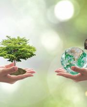 Catherine Corbière image 13