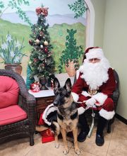 Pinetree Animal Hospital image 19