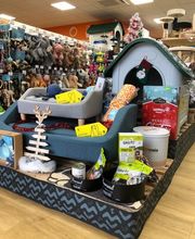 ZOOMALIA Terrasson-Lavilledieu 24 | Animalerie image 2