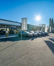 Dacia Grasse image 6