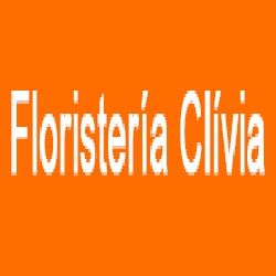 LOGOCLAVIA.jpg