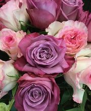 Fleuriste de la Halle Bild 6