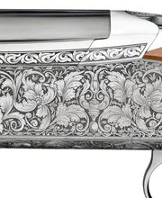 CHASSE EXTREME image 14