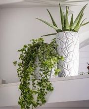 Opticien Grenoble - Optic 2000 image 11