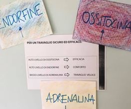 Studio Amnios c/o International osteopatic centre suisse Bild 13