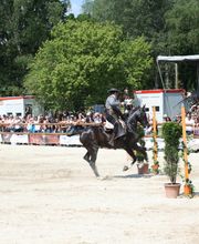 Working-Equitation-Equipment by Mammut Raufen Bild 10