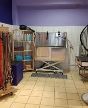 Espace canin image 7