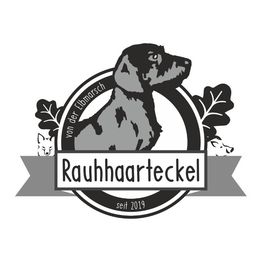Jagdhundeausbildung Sommer