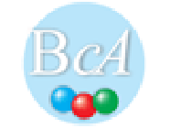 BCA Services