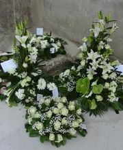 Flowers image 18