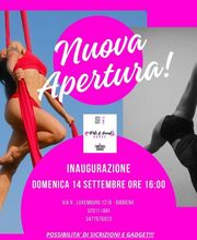 Gallery Cliente