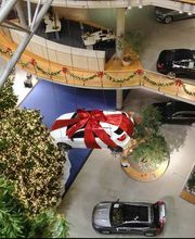 Volker Schauwerbung Bild 3