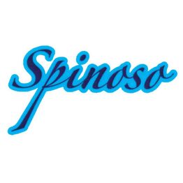 Agenzia Funebre Spinoso di Alberto Spinoso logo