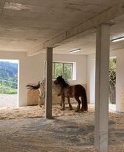 Aktivstall Dirnberg Bild 1