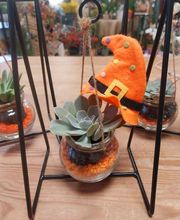 Montluçon Fleurs image 6