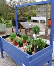 baumgartner gärtnerei Bild 7