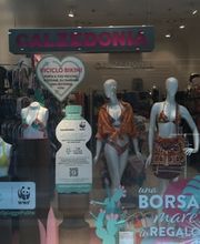 Calzedonia immagine 1