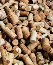 Vinenzo Weinhandel GmbH Bild 7