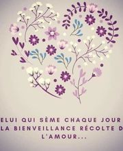 Look Coiffure image 1