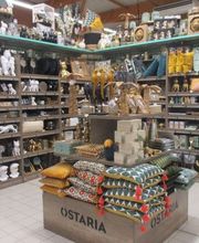 Centrakor Lanvollon image 6