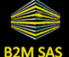 B2M image 1