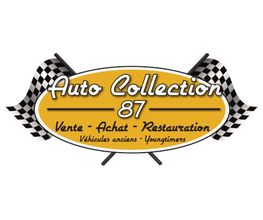 Auto Collection 87 image 8