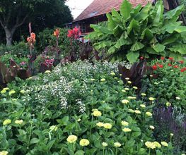 Gander Gartenbau Bild 7