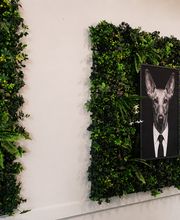 NOVA CAFE image 5