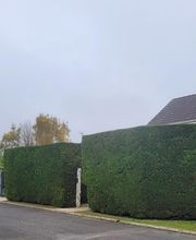 Auffargis Espaces Verts image 4