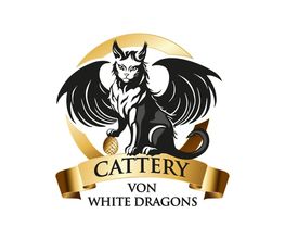 Von White Dragons Bild 1