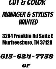 Fantastic Sams Cut & Color image 4