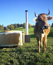 Wellness Schweiz AG - saunafass.ch - i-POT.ch - wellness-onlineshop.ch - wellnessunderthesky.ch Bild 11