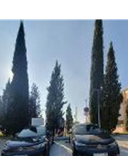Wenea imagen 2