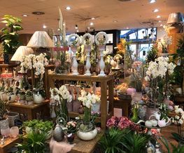Blumen Interfleur Floristik & Wohnaccessoires Bild 6