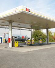 M1 Linden Bild 4