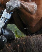 Equine Exchange Tack Shop image 6