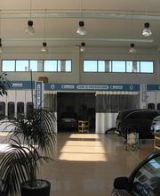 Gallery Cliente