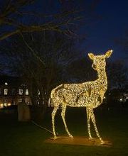 Westerland im Lichterglanz - Stadtpark-