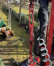 Garten- und Landschaftsbau Aliu Bild 4