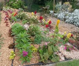 Jardin Tradition image 4