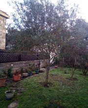 Multi Services Occitanie image 11